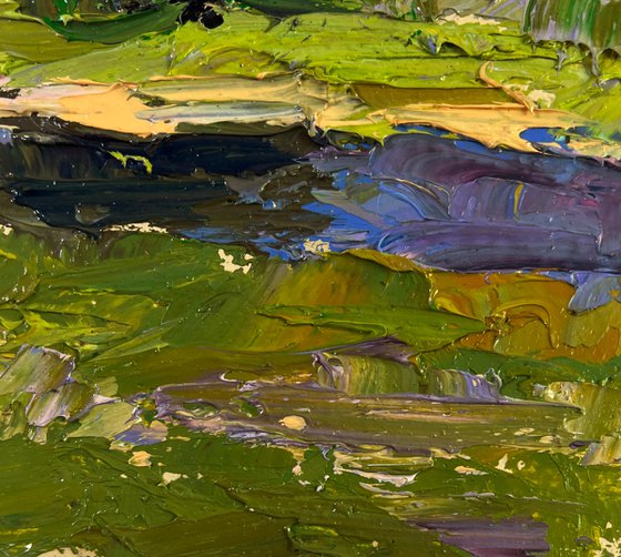 Sunny Day Under a Cloudy Sky