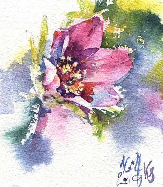 "Pasque-flower" original watercolor sketch small format