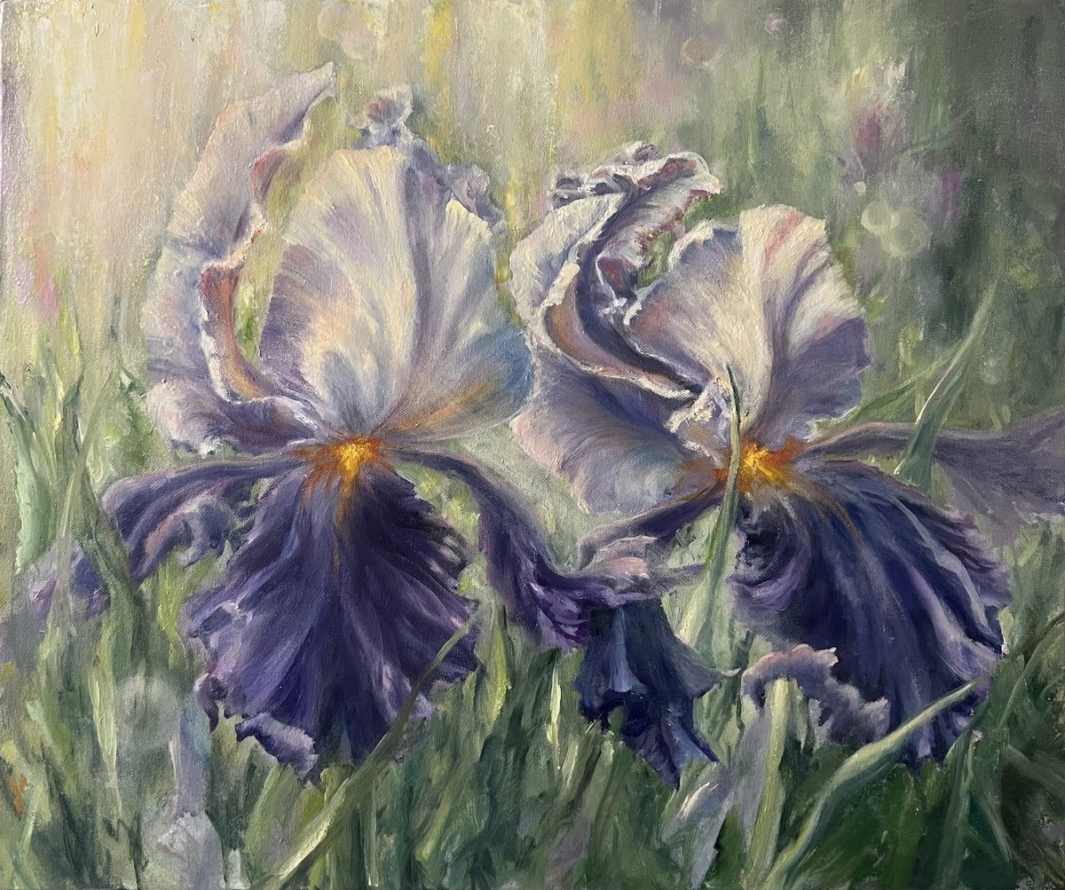 Morning Irises by Alesia Yeremeyeva