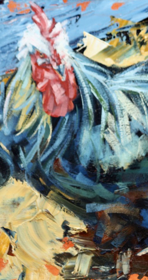 Rooster by Claire McCall