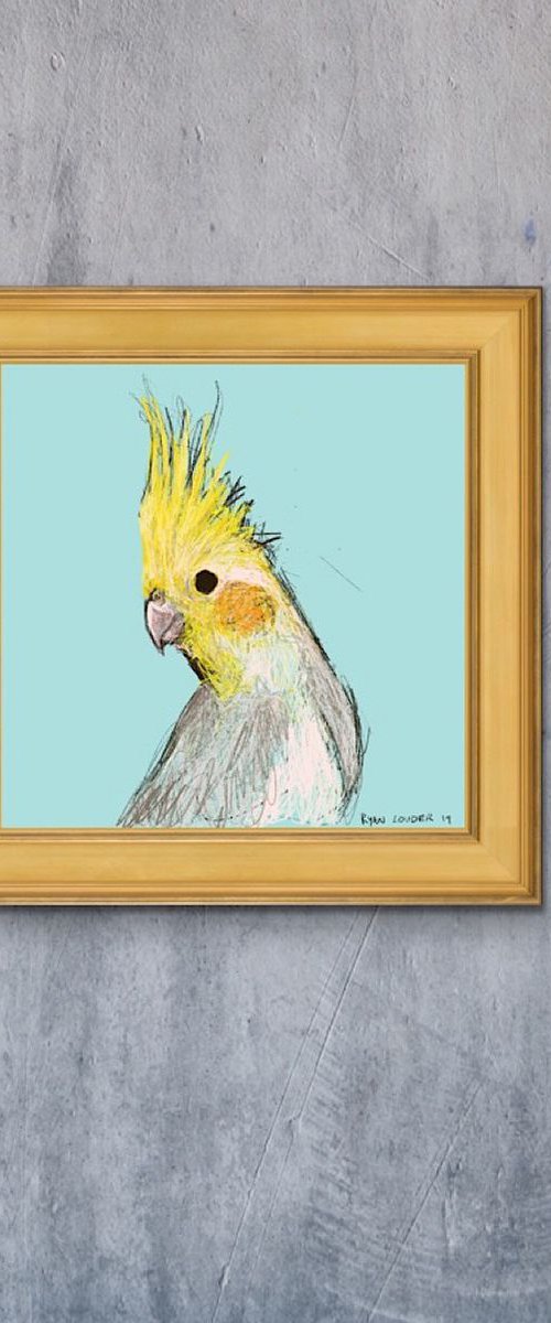 Cockatiel 12x12 limited edition by Ryan  Louder