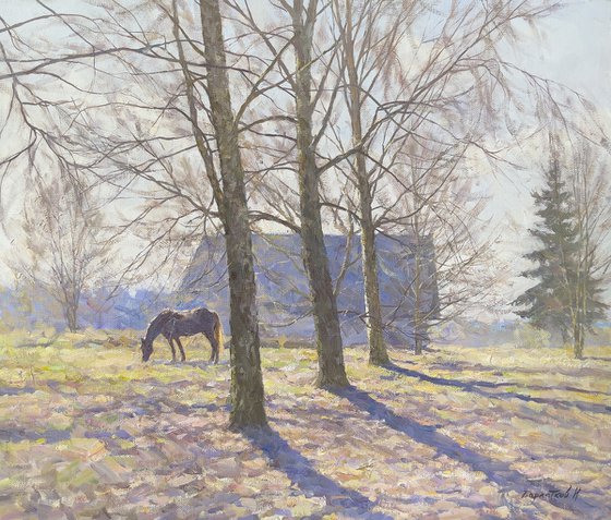 Spring Morning