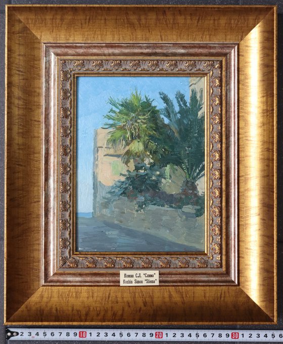 Palm trees. Sliema