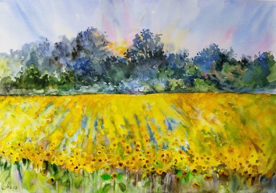 Landscape with sunflowers