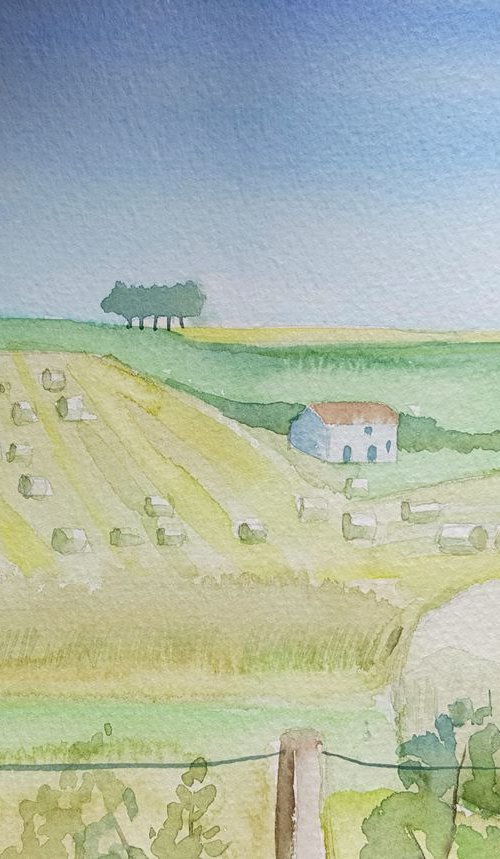 Hayfield in summer by Mary Stubberfield