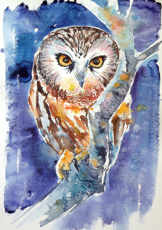 Owl at night