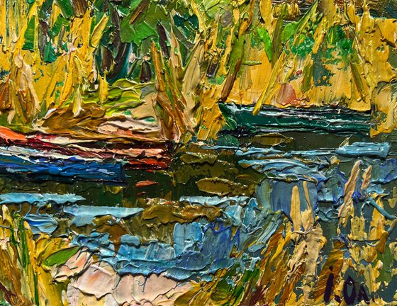 Boats on the shore