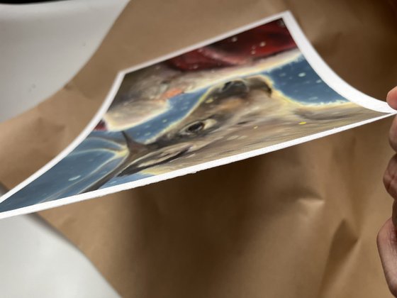 Christmas Santa New Year Winter