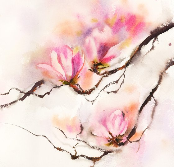Magnolia