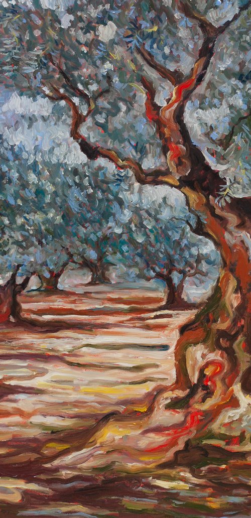 Olive Grove by Liudmila Pisliakova