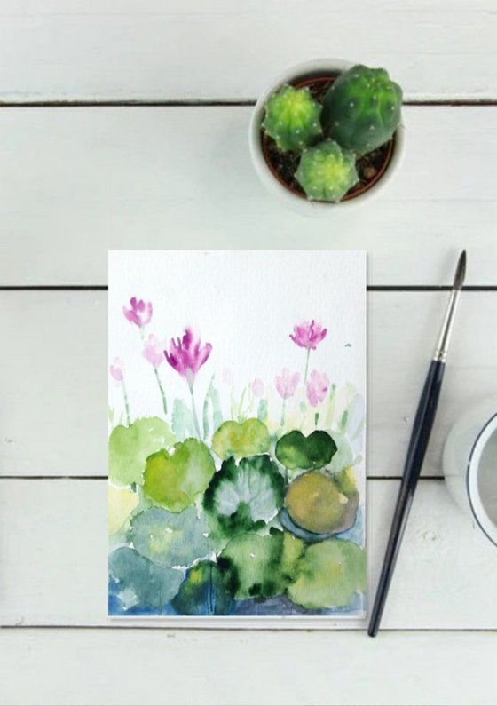 Pale pink water lilies 8