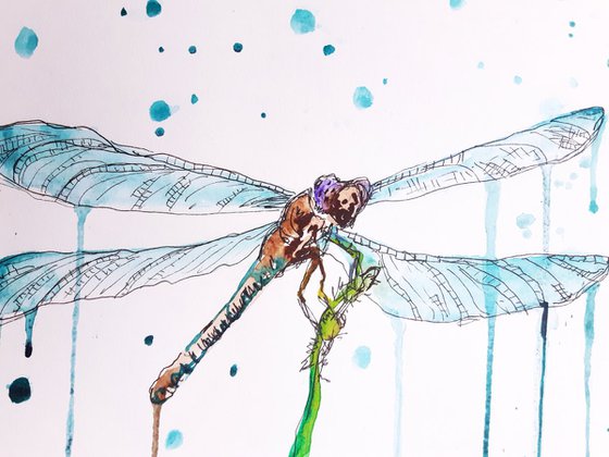 "Dragonfly"