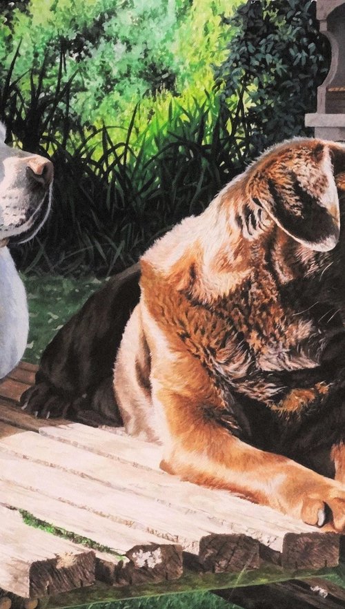 Kenko and Tetley by Julian Wheat