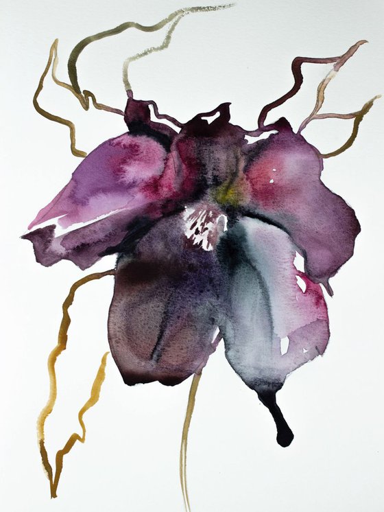 Hellebore No. 9