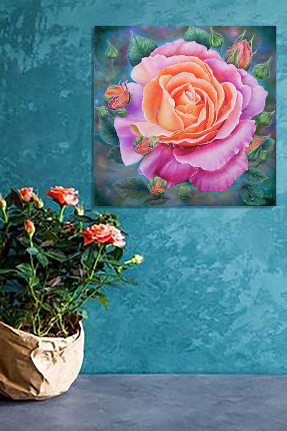 Rose at Dawn