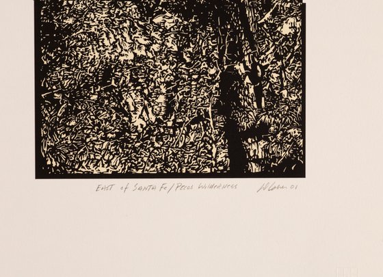 EAST OF SANTA FE/PECOS WILDERNESS