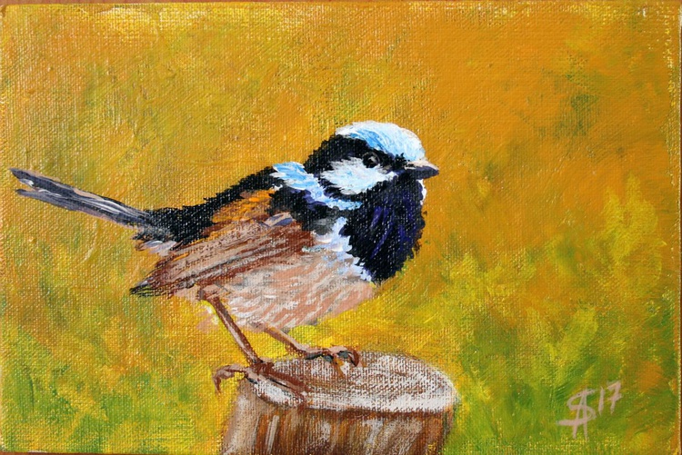 Superb Blue Fairy Wren Original Painting Artfinder