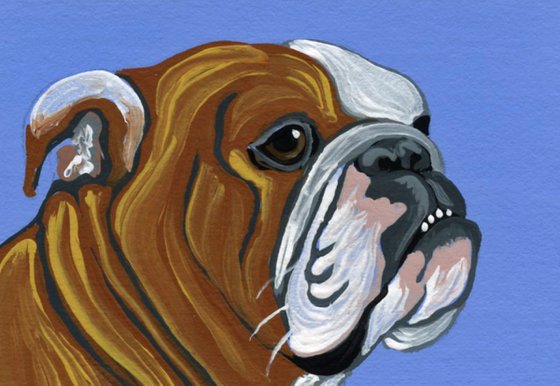 ACEO ATC Original Miniature Painting English Bulldog Pet Dog Art-Carla Smale