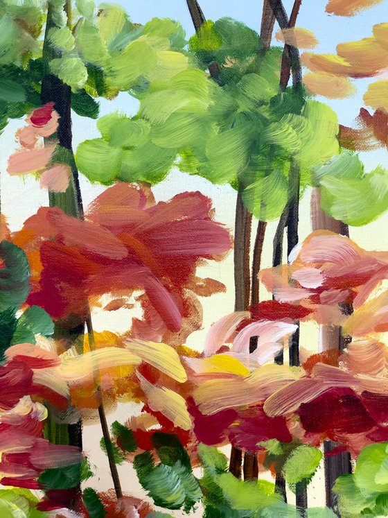 Autumn forest