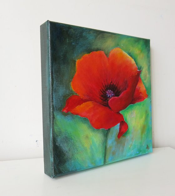 Perfect Poppy