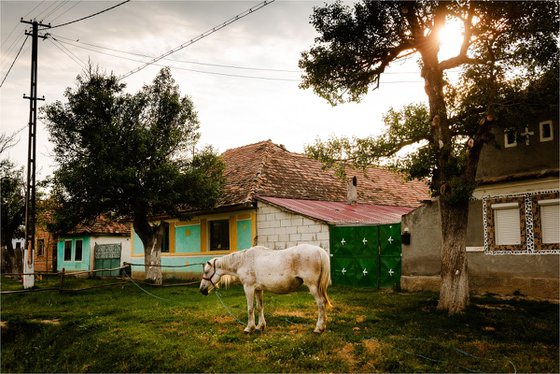 Viscri, Transylvania