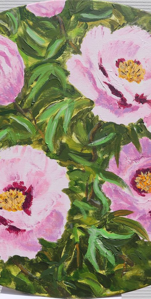 Cora Louise Peonies, 64*53 by Dmytro Yeromenko