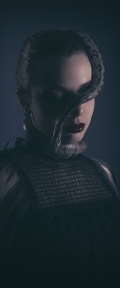Ecailles by Cédric Brion