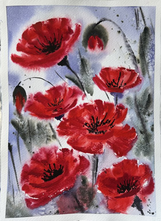 Red Poppies in the field
