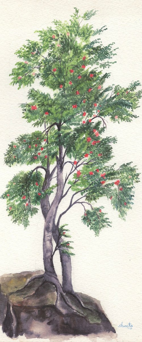 Rowan tree by Shweta  Mahajan