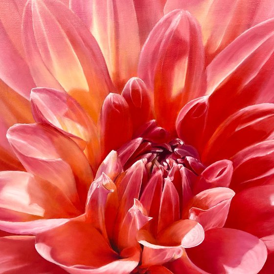 Radiant Bloom