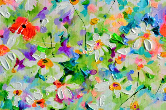 White Daisy and Red Poppy Field