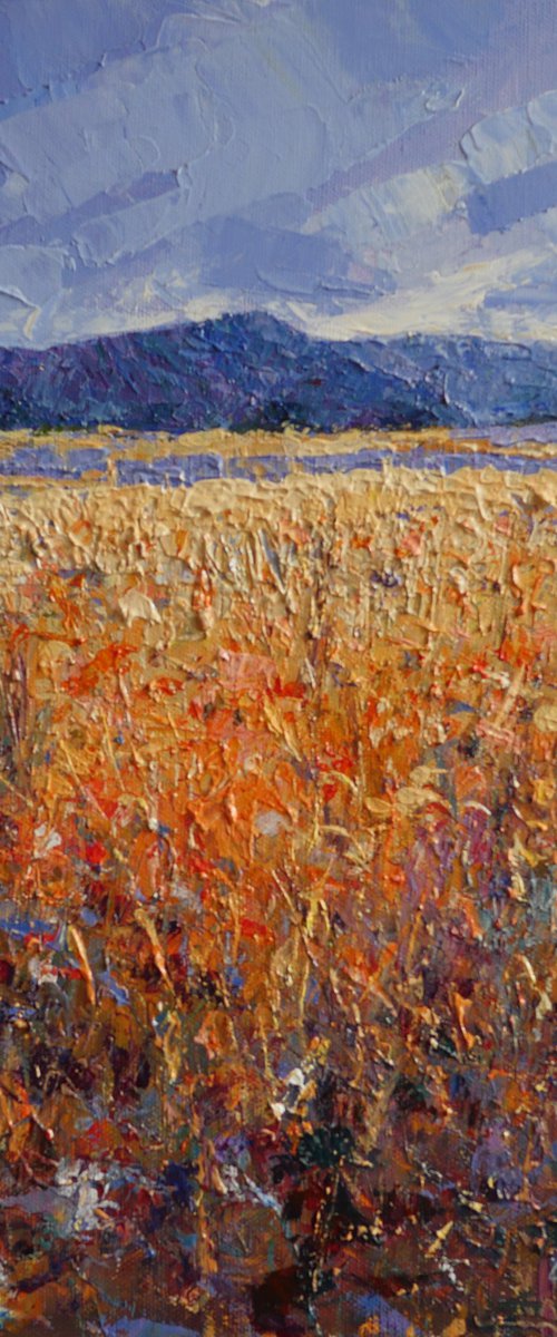 Landscape by Claudio Ciardi