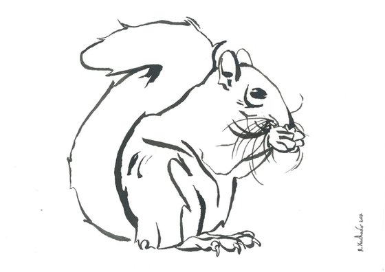 Squirrel I Animal Drawing