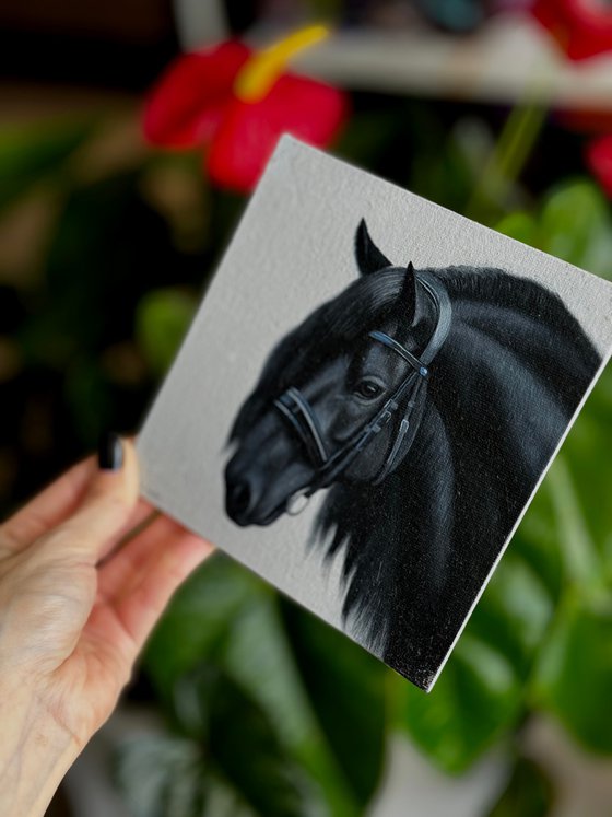 Horse Portrait 15