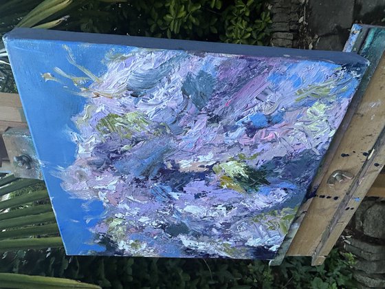 Wisteria
