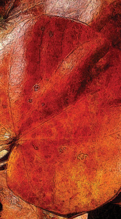 Otoño by Javier Diaz