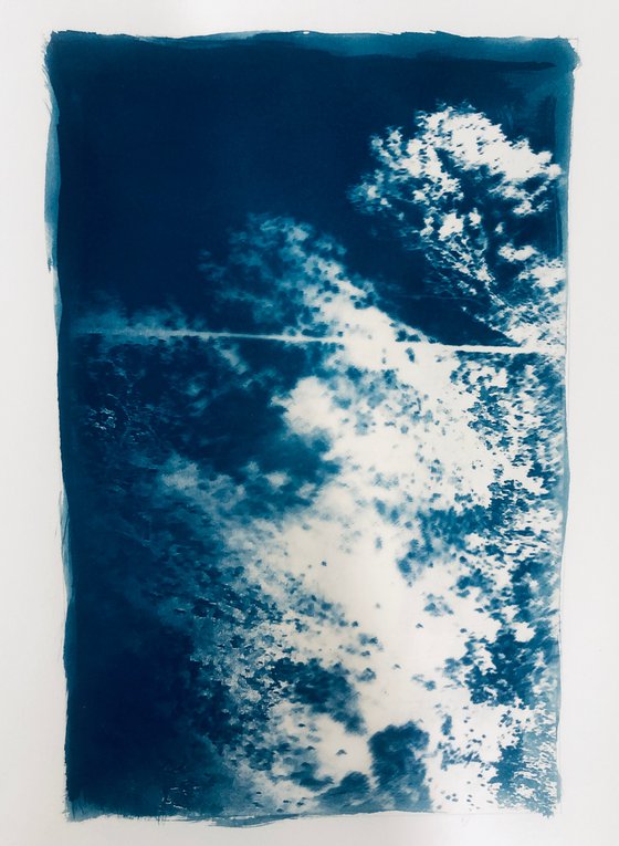 ZIP-LINING cyanotype print