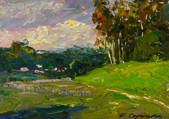 Birch Grove in the Light of the Morning Sun