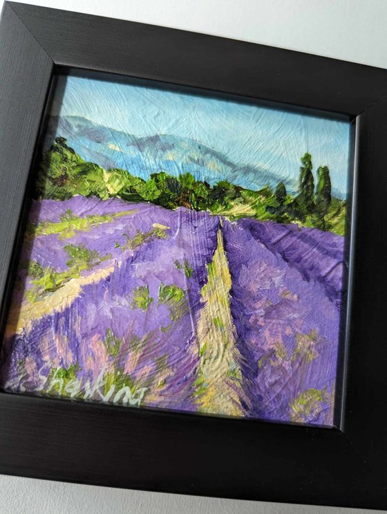 Lavender Fields Scene