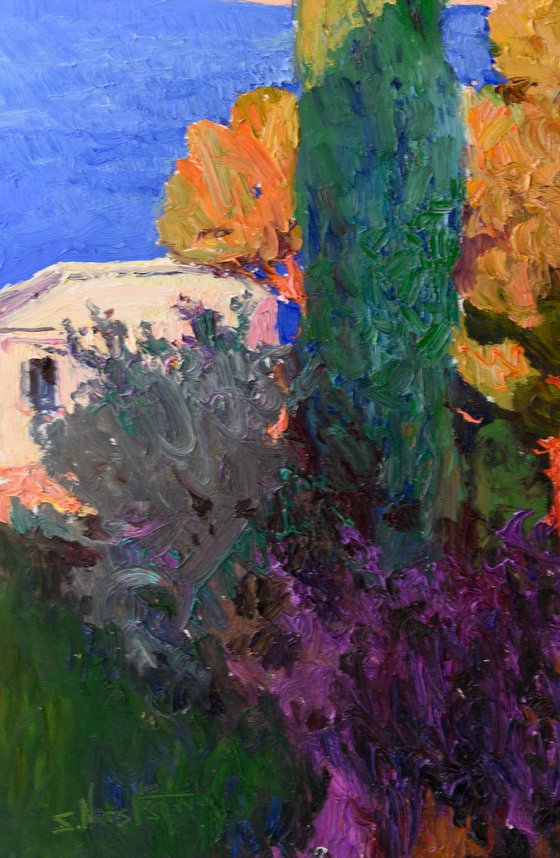Mediterranean Evening
