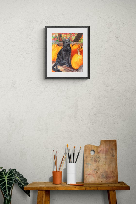 Binx's Autumn