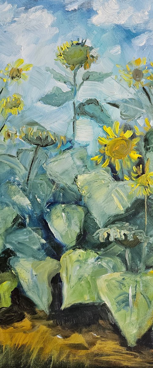 Sunflower by Vera Stein