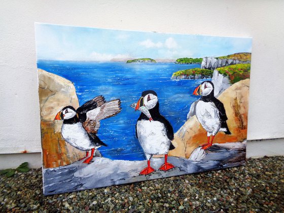 Return of The Puffins