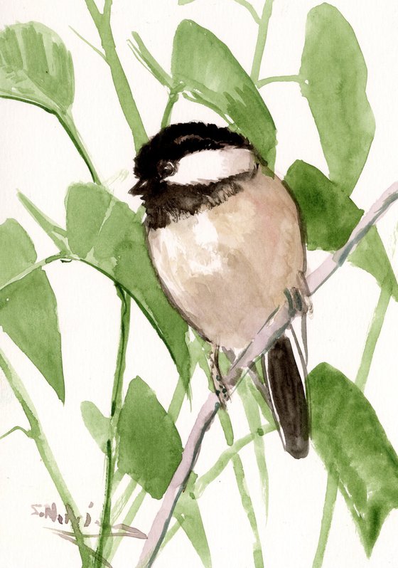 Chickadee