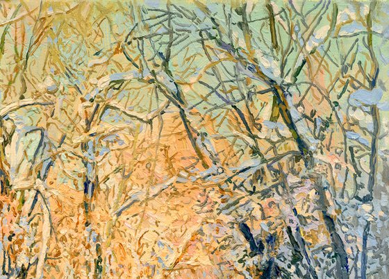 A sunny day on the Chertanovka River