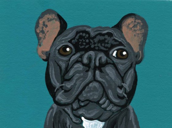 Black French Bulldog