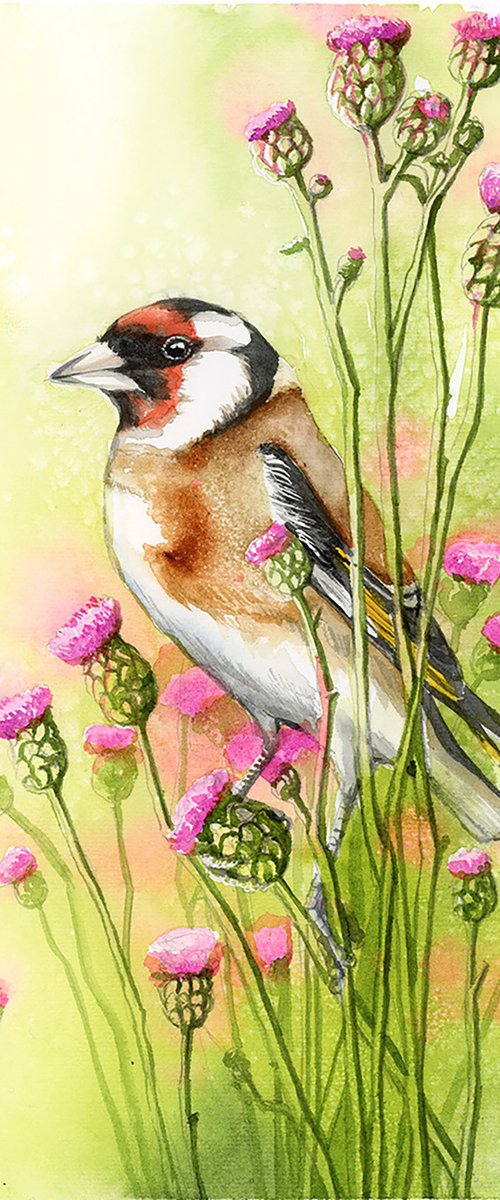 Goldfinch by Karolina Kijak