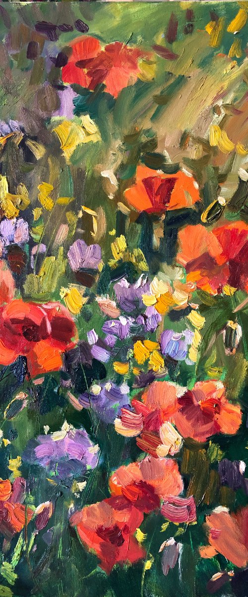 Poppies land by Nataliia Nosyk