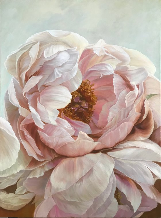 Peonies