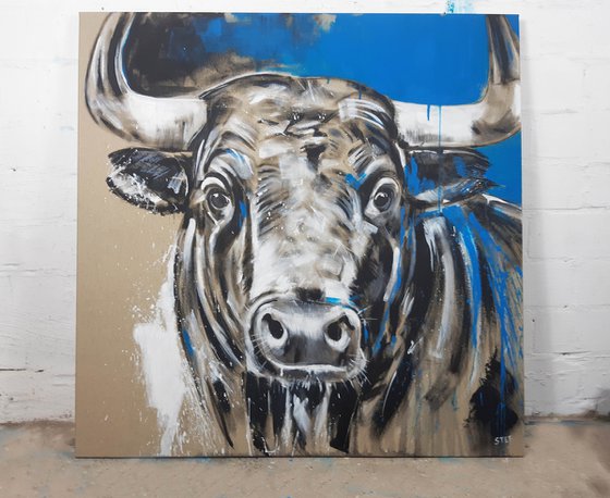 TAURUS #6 – Close up portrait of a bull